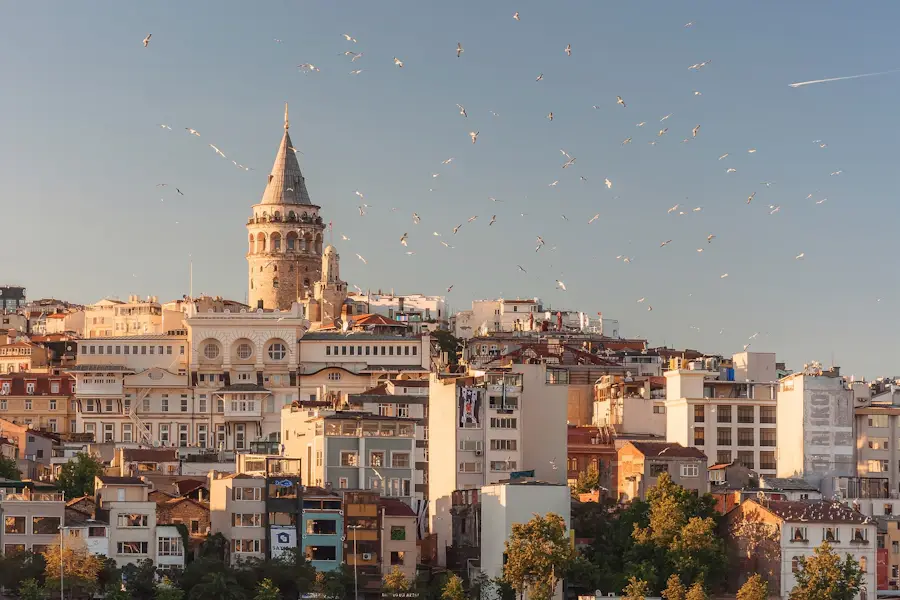 Istanbul cityscape with historic mosque domes